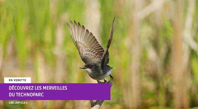 Technoparc – WestmountMag.ca