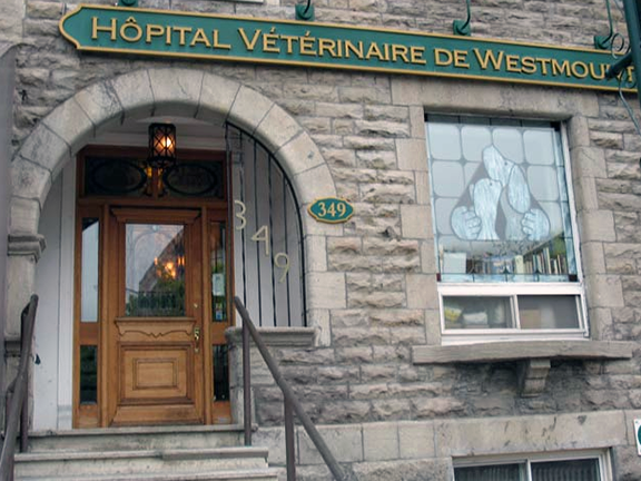 hopital veterinaire westmount