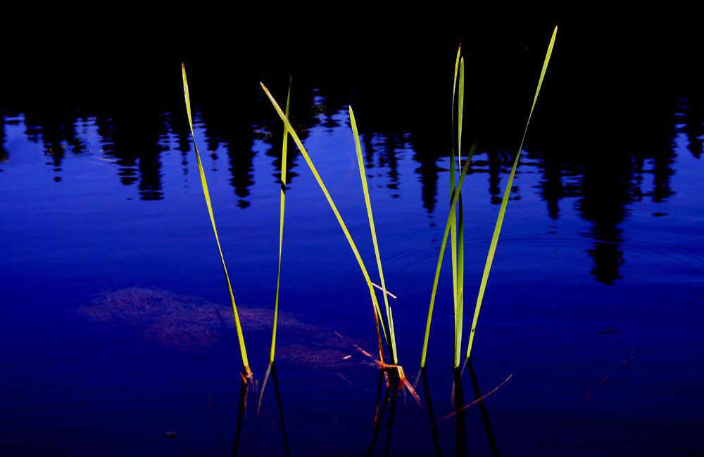 Summer 8pm - photo by Joe Donohue