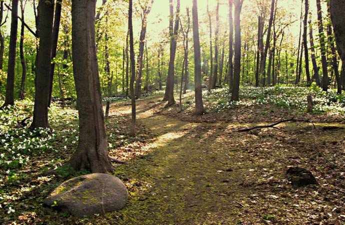 Summit park, springtime paths - WestmountMag.ca