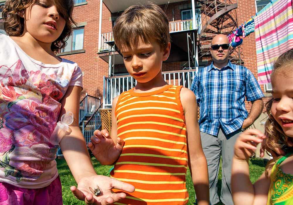 children with cicada