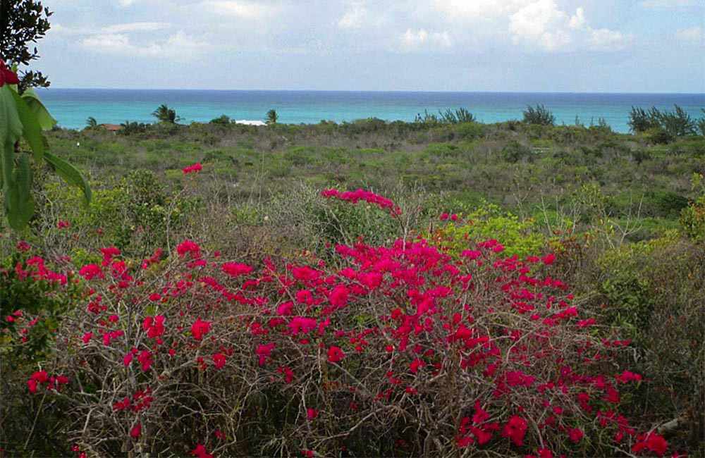 photo: Turks and Caicos islands