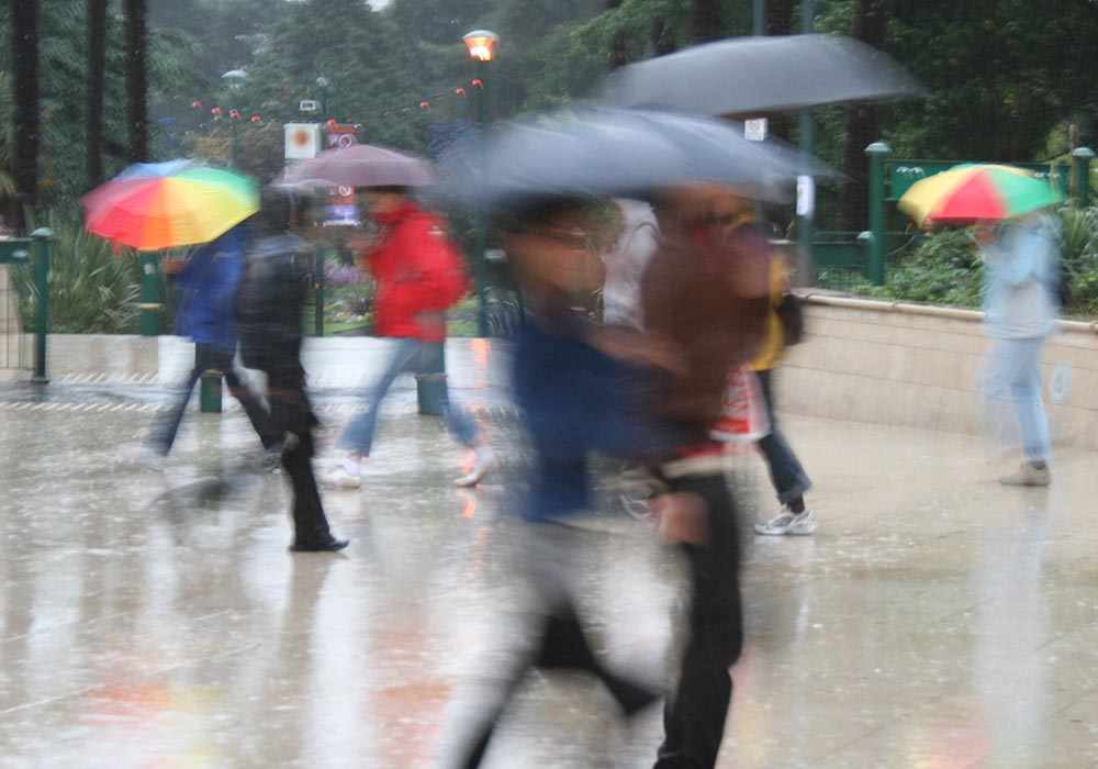 multicolour umbrellas