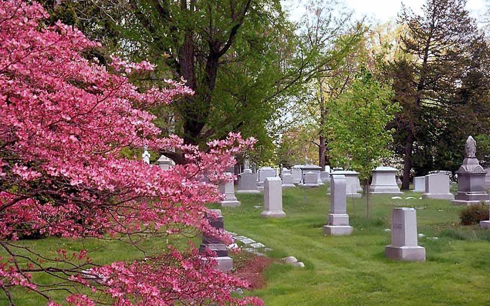 cemetary spring cimetiere printemps westmountmag.ca