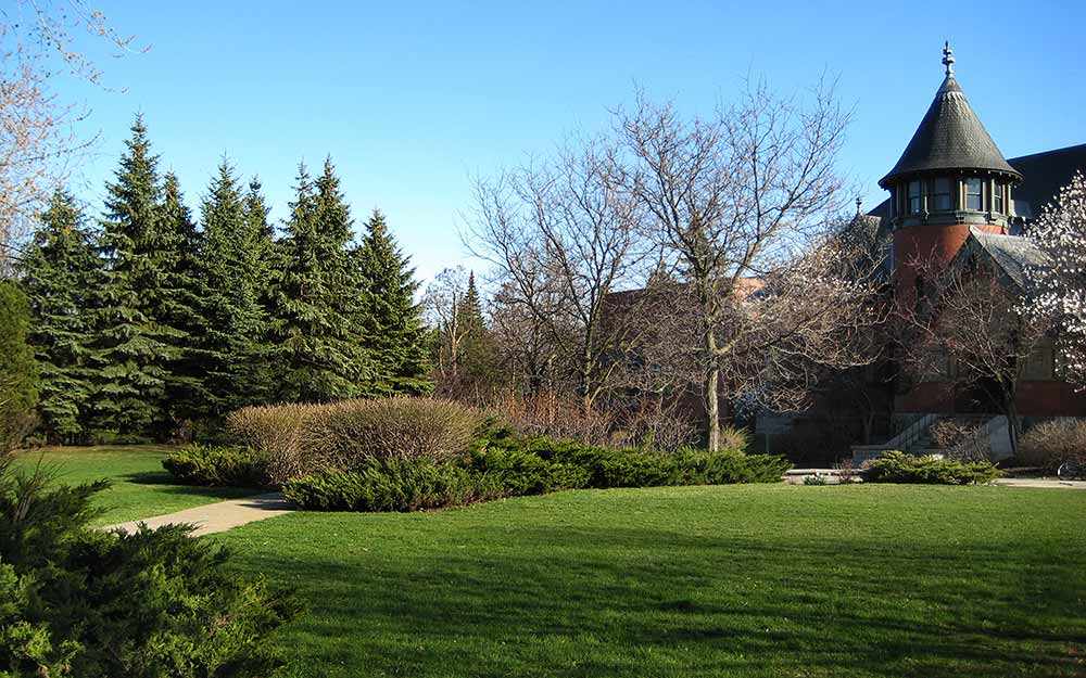 Fir trees - Westmount Park - photo: Patricia Dumais