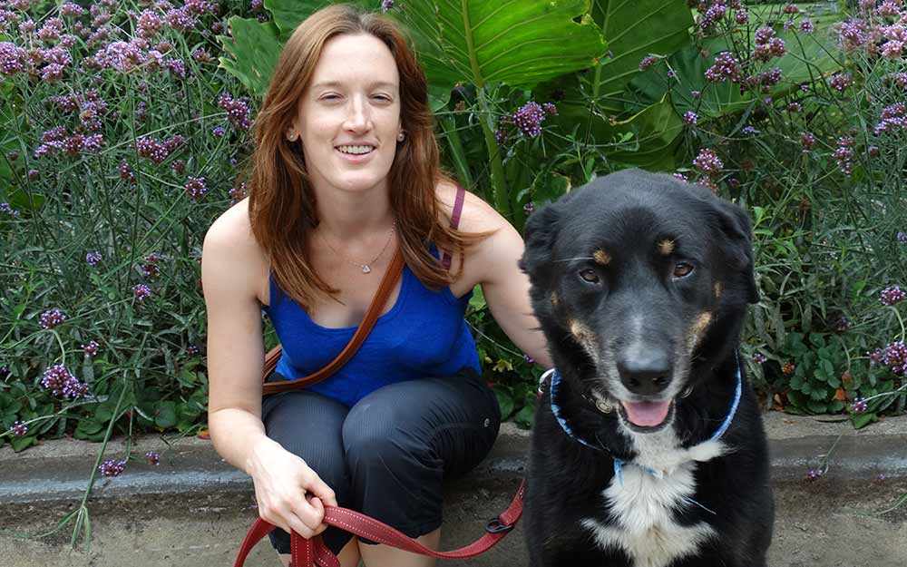 westmount dogs westmountmag.ca