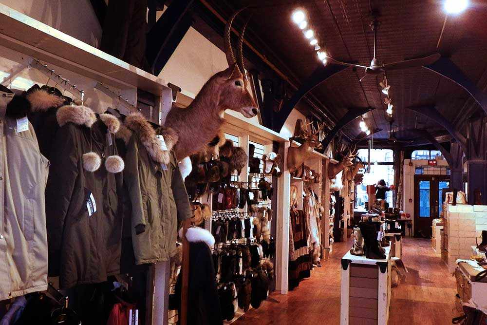 photo intérieur du magasin Bilodeau de Montréal / inside Bilodeau store in Montreal - WestmountMag.ca
