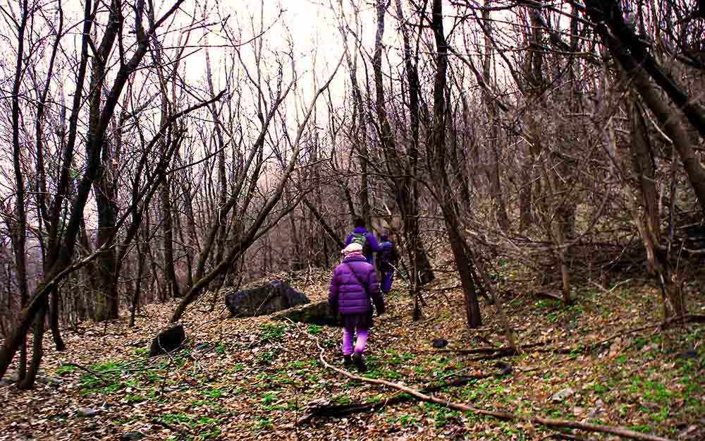 falaise St-Jacques - WestmountMag.ca