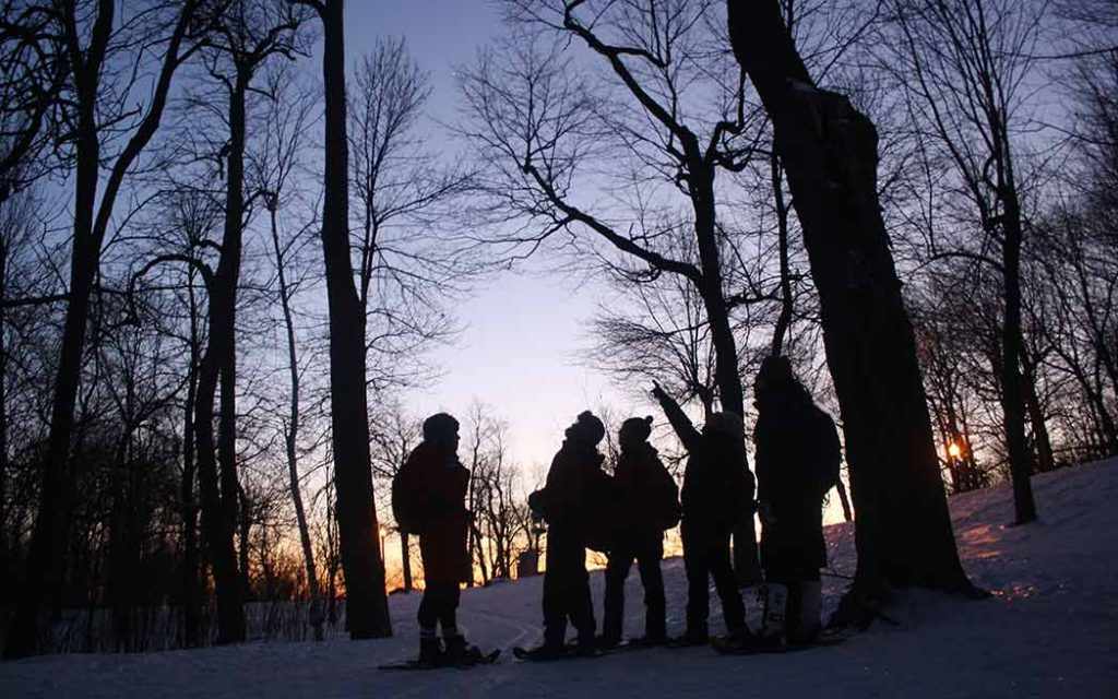 Les Amis de la Montagne - Parc du Mont-Royal - Mount Royal Park - WestmountMag.ca