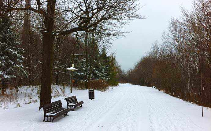 mount royal park westmountmag.ca