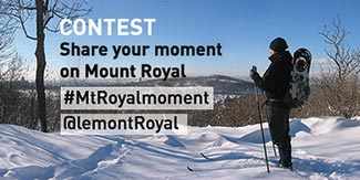 mount royal park contest westmountmag.ca