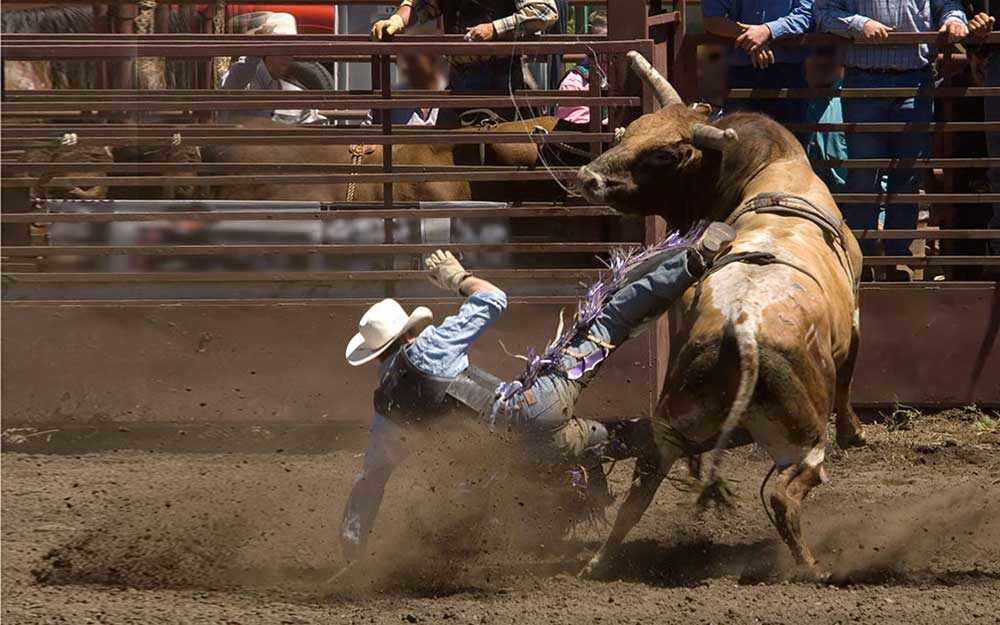 rodeo WestmountMag.ca