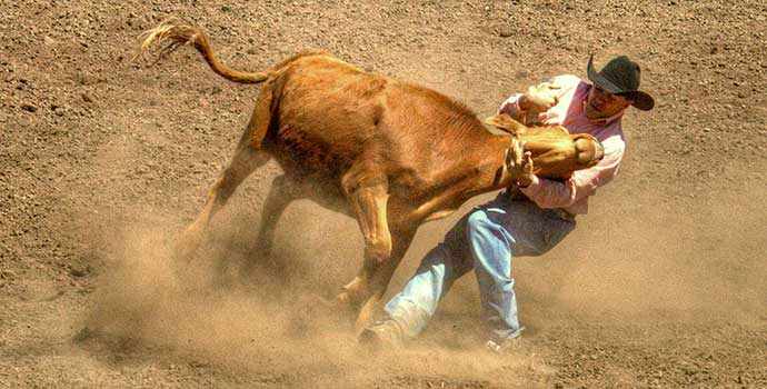 rodeo WestmountMag.ca