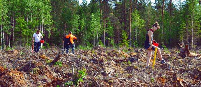 Chantiers jeunesse logo
