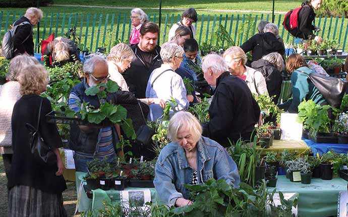 Weatmount plant exchange WestmountMag.ca