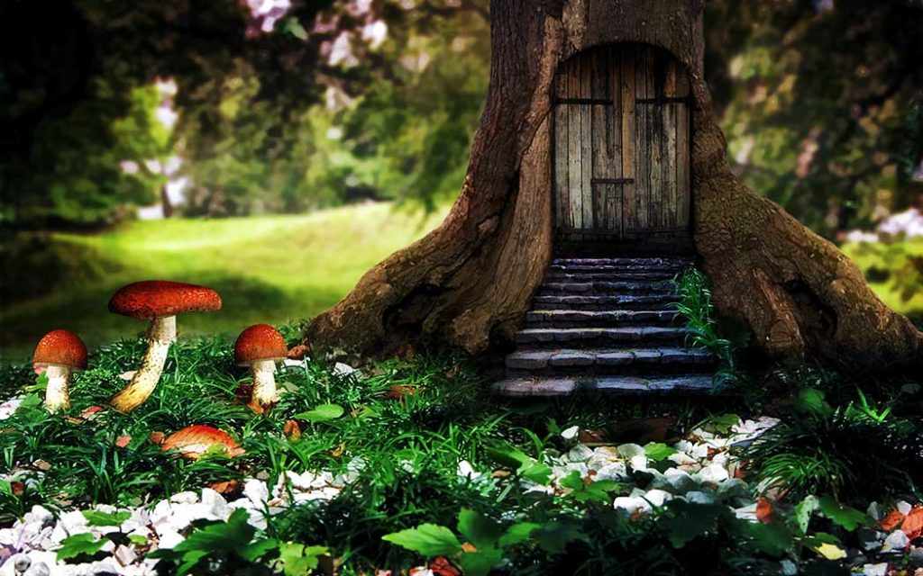 McEntyre Competition - WestmountMag.ca