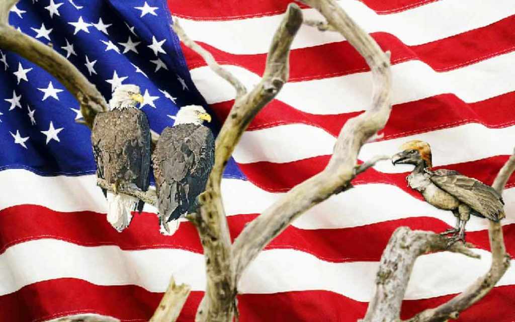 USA Flag – WestmountMag.ca