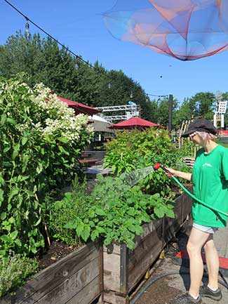 Jardins Gamelin - WestmountMag.ca