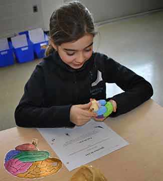 Brain Reach - WestmountMag.ca