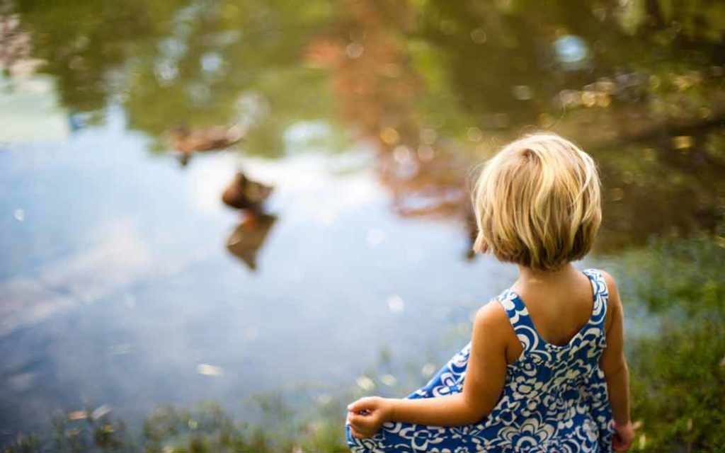 child duck pond - WestmountMag.ca