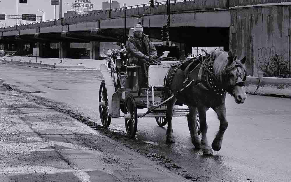 Calèche – WestmountMag.ca