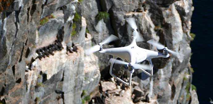 drone cliff birds - WestmountMag.ca