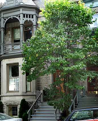 430 Metcalfe - WestmountMag.ca