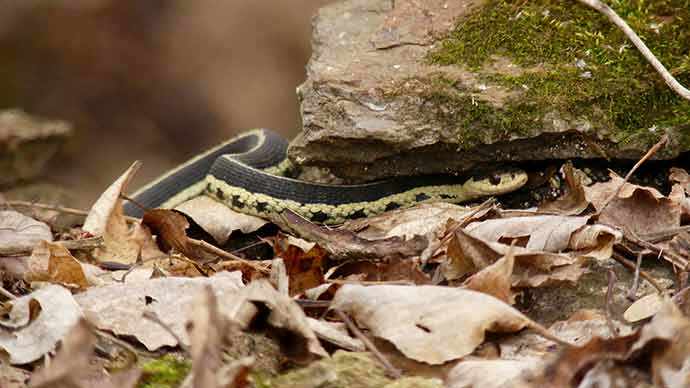 Technoparc - WestmountMag.ca