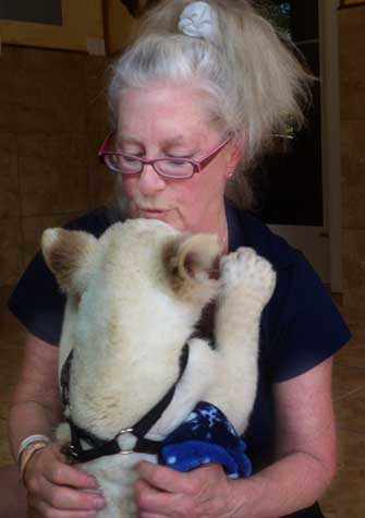 Linda Hammerschmid with baby lion - WestmountMag.ca