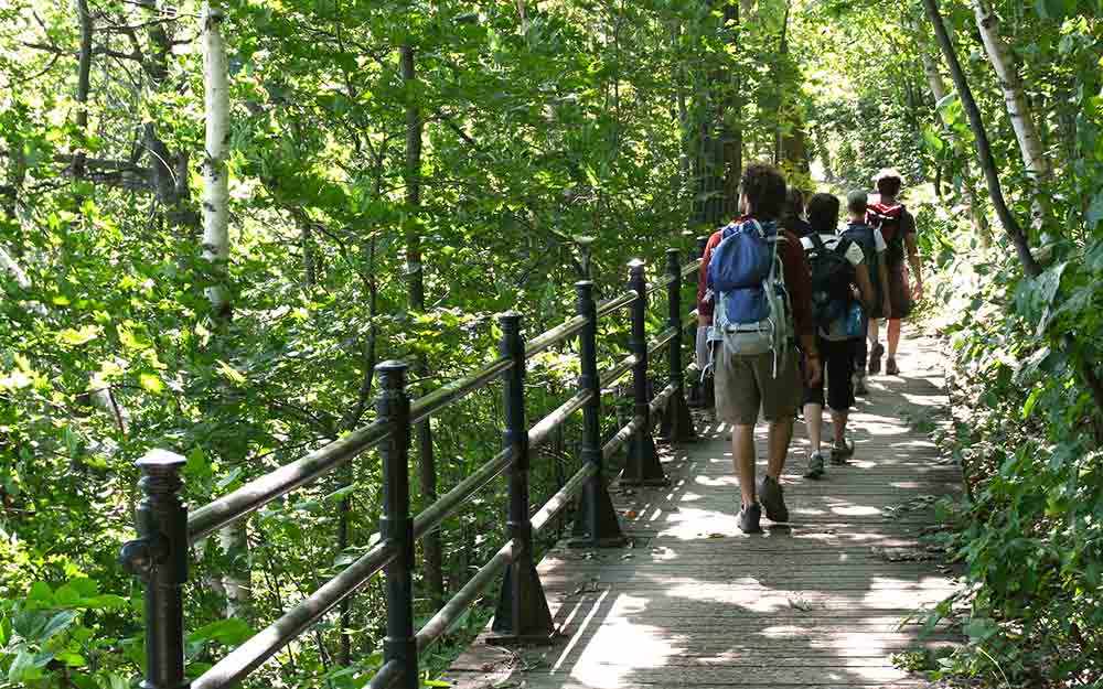 Mount-Royal hikers - WestmountMag.ca