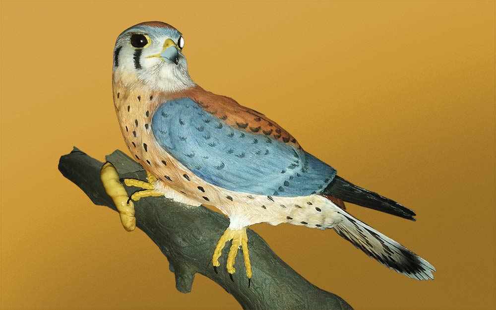 Roxanna E. Bauer - Résurrectrice d'arbres / Tree-Resurrector – WestmountMag.ca