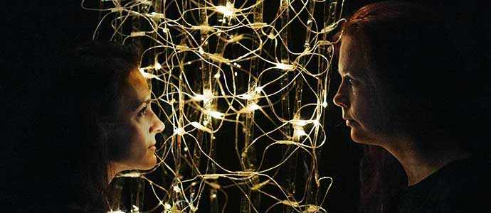 Rootless Tree - WestmountMag.ca