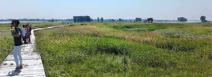 walking trail ile aux cerfeuils - WestmountMag.ca
