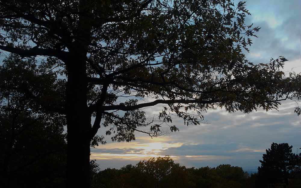 Mount Royal – WestmountMag.ca