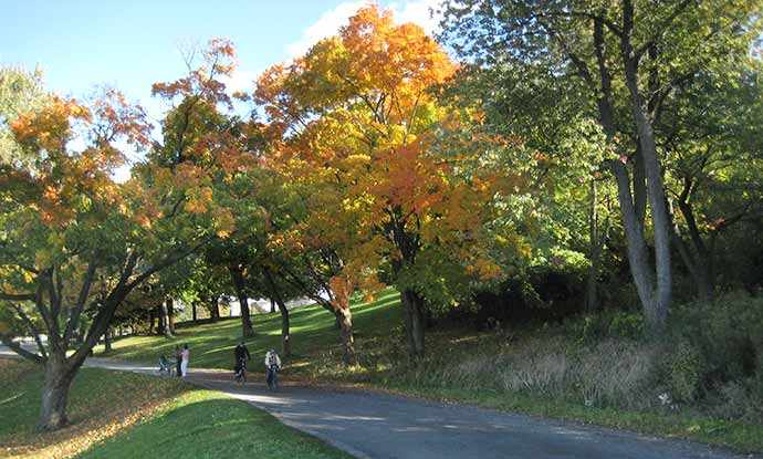 Image: Olmstead Road – WestmountMag.ca