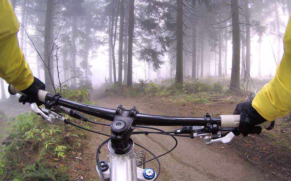 Cycling Facts – WestmountMag.ca