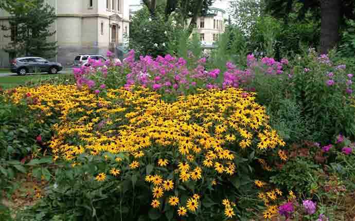 Dawson CEGEP Peace Garden - WestmountMag.ca