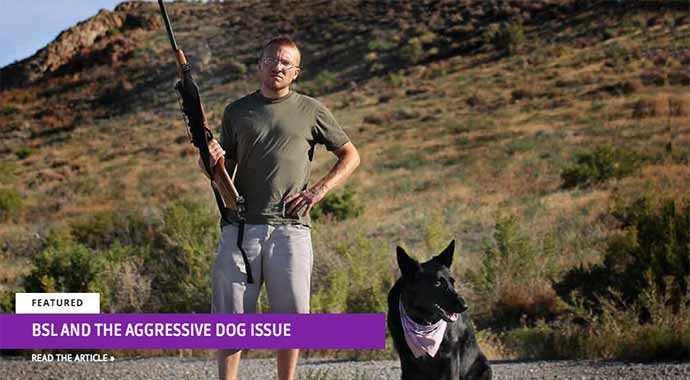 BSL and the aggressive dog issue - WestmountMag.ca