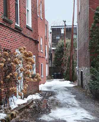 Cross Lane - Westmountmag.ca