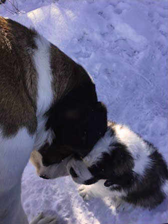 Giada with mom - WestmountMag.ca