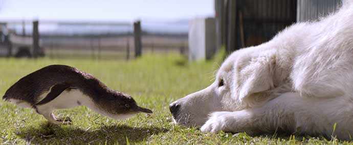 relâche scolaire MBAM - WestmountMag.ca