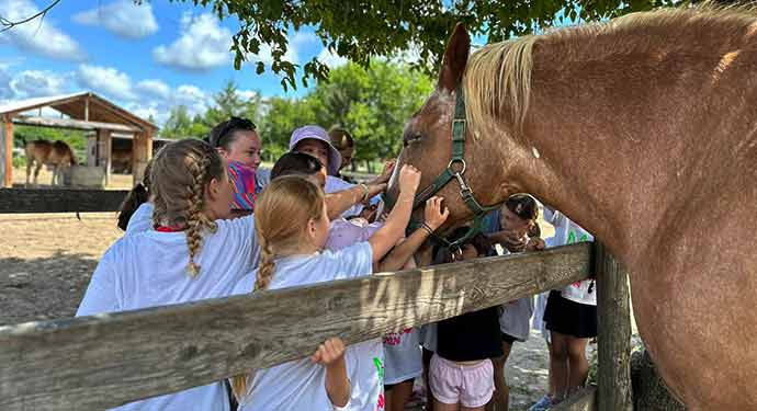 A Horse Tale horses with children