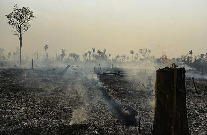 Amazon deforestation