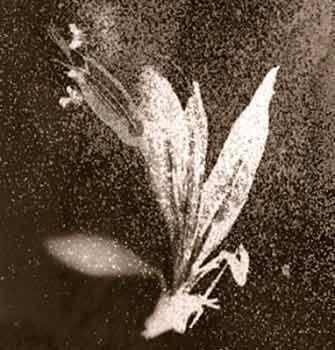 Art souterrain - RESET - Anaïs Tondeur – WestmountMag.ca