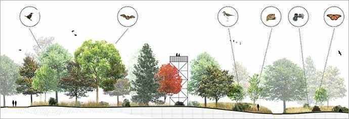 biodiversity corridor - WestmountMag.ca