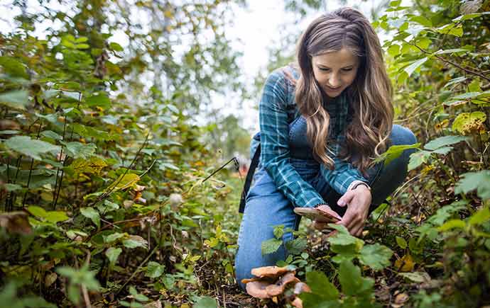 NCC Backyard Bio Blitz