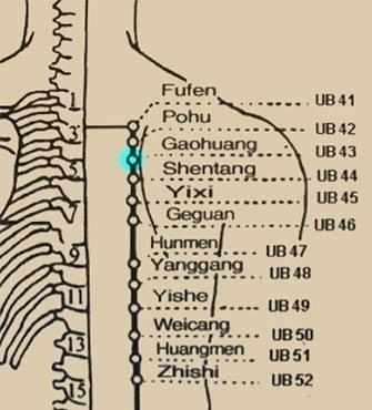Acupressure Bladder 43 - Westmountmag.ca