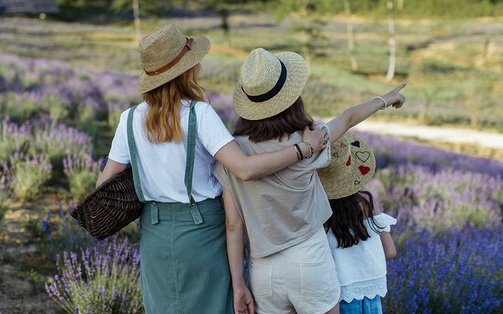 contemplating a garden