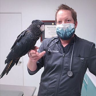 Dr. Cory Greenfield with a black cockatoo 