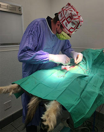 Cory spaying the family’s new puppy